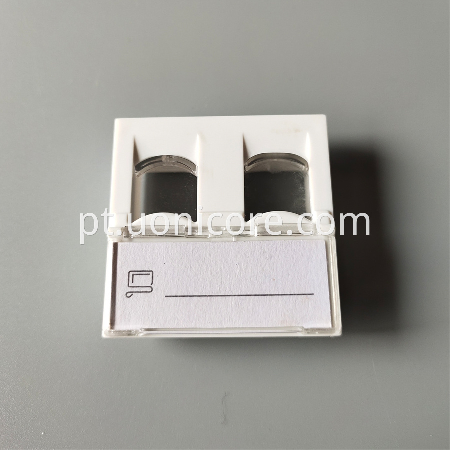 2 ports RJ45 face plate